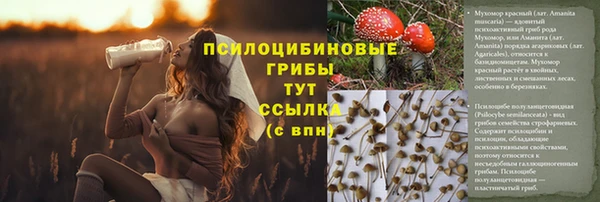 прущий лед Михайлов