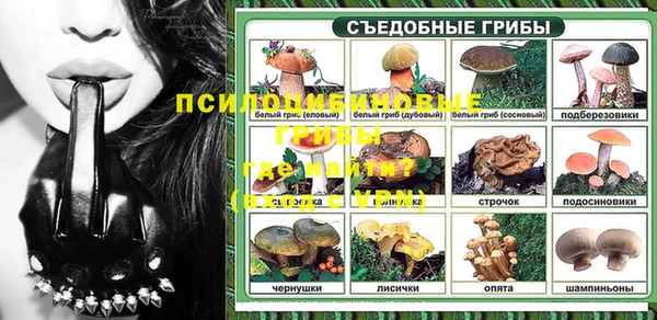 прущий лед Михайлов