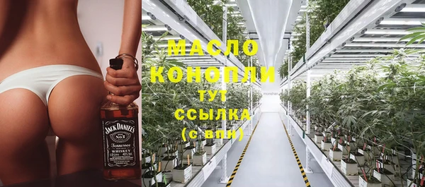 прущий лед Михайлов