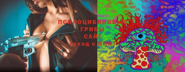 прущий лед Михайлов