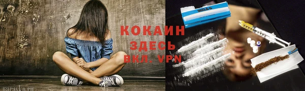 прущий лед Михайлов