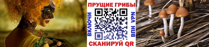 Галлюциногенные грибы ЛСД  Купить где  Стерлитамак